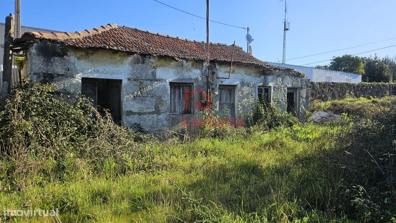 Moradia para Restauro com 5000m² de Terreno, em São Martinho do Campo, - Grande imagem: 4/4
