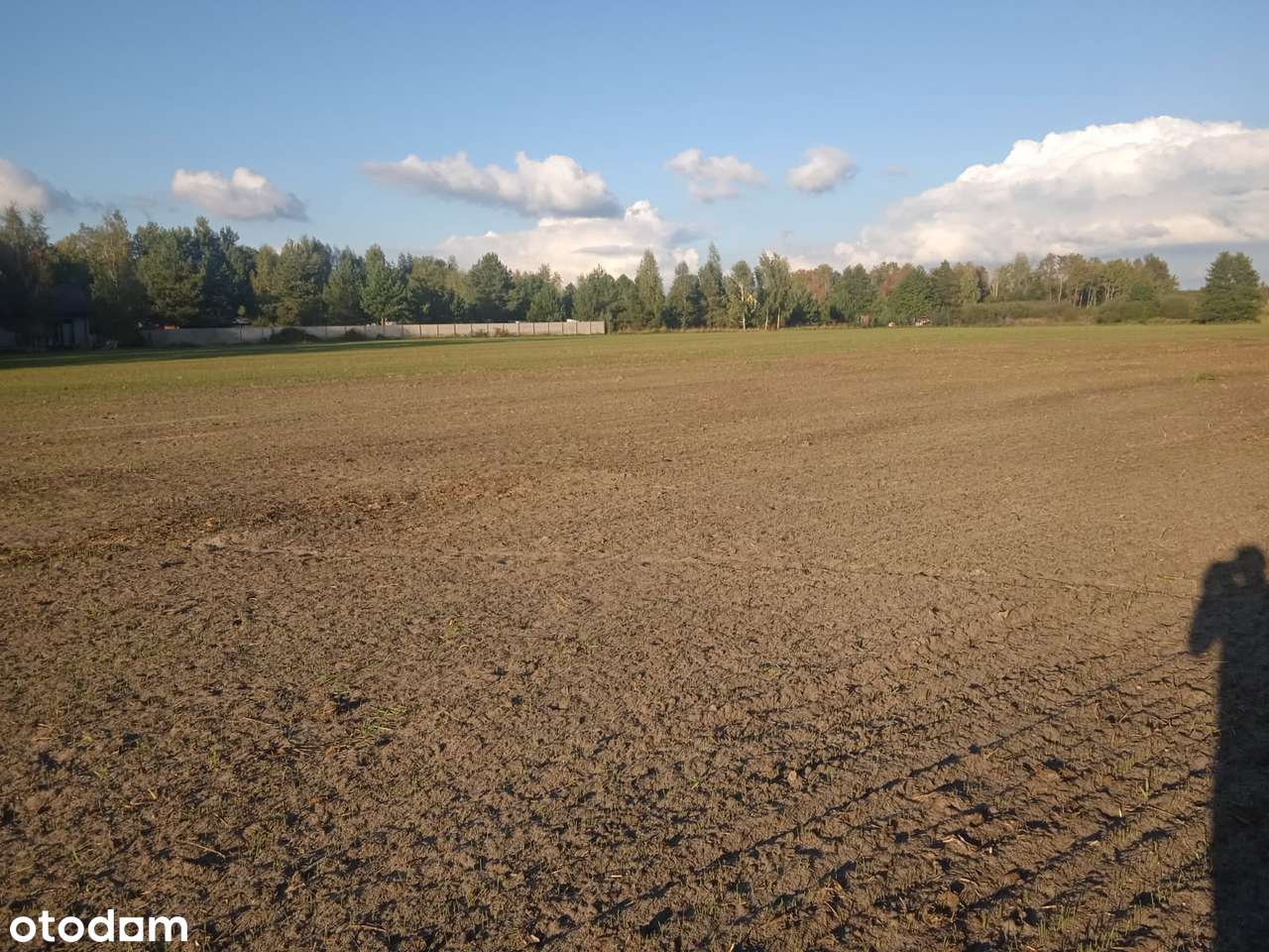 Sprzedam działki budowlane Gzowice Kolonia - Pełny obrazek: 2/6