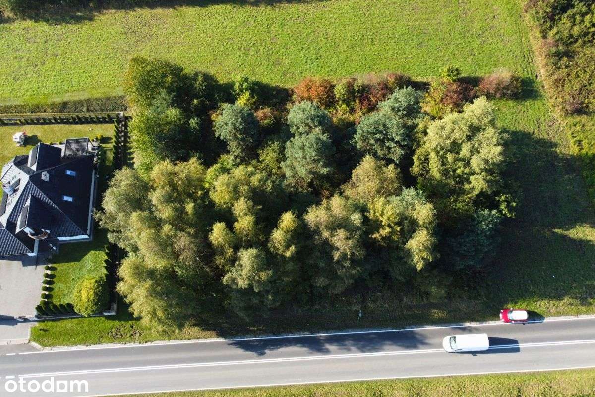 Piękna działka - 35 min od Krakowa koło Krzeszowic - Pełny obrazek: 4/10