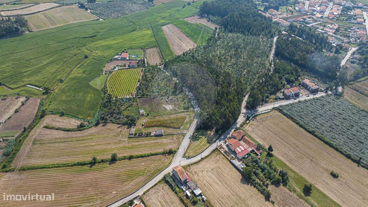 Terreno  para venda - Grande imagem: 4/25