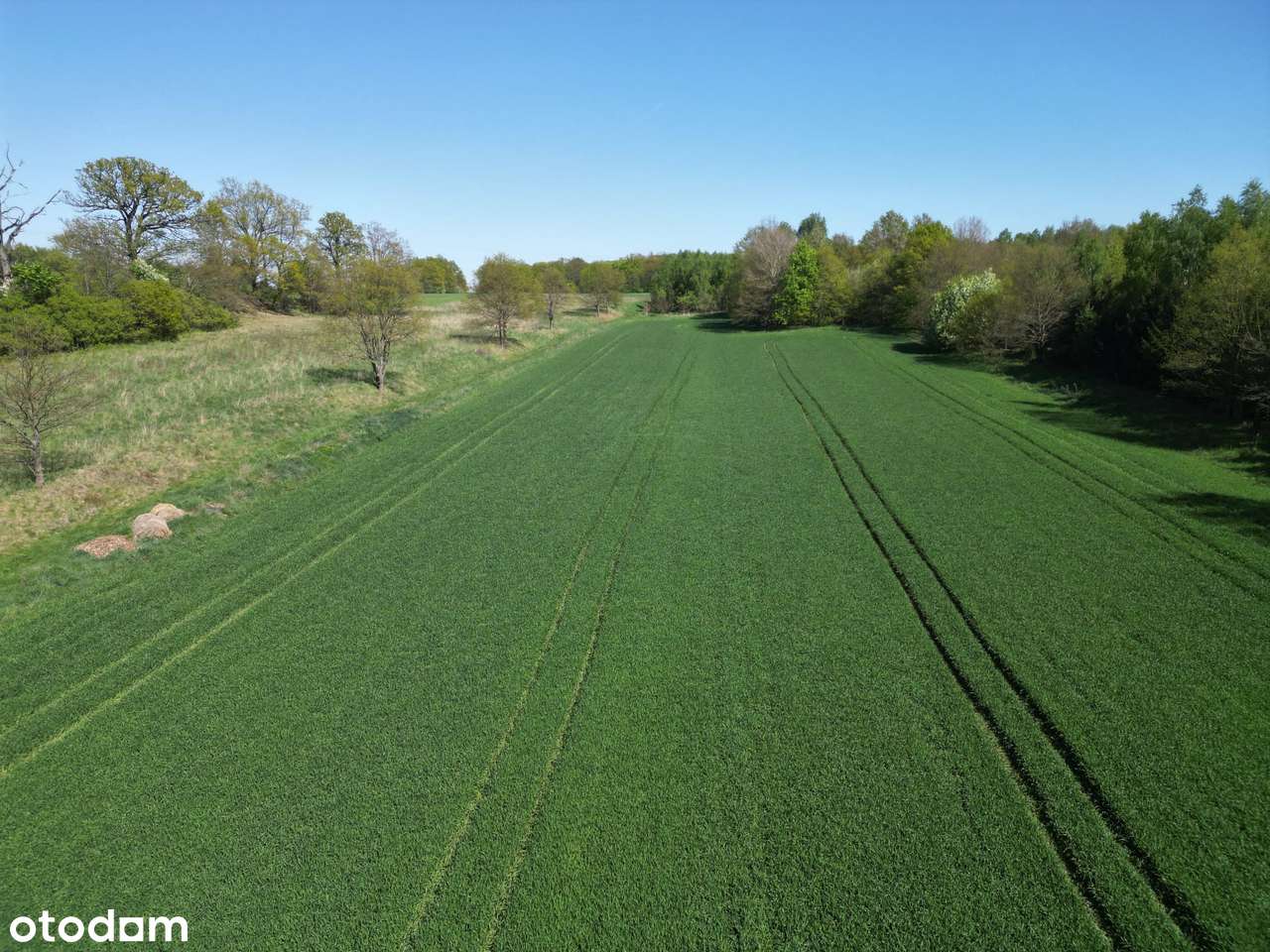 Działki budowlane na sprzedaż – Włodzice Wielkie - Pełny obrazek: 5/5