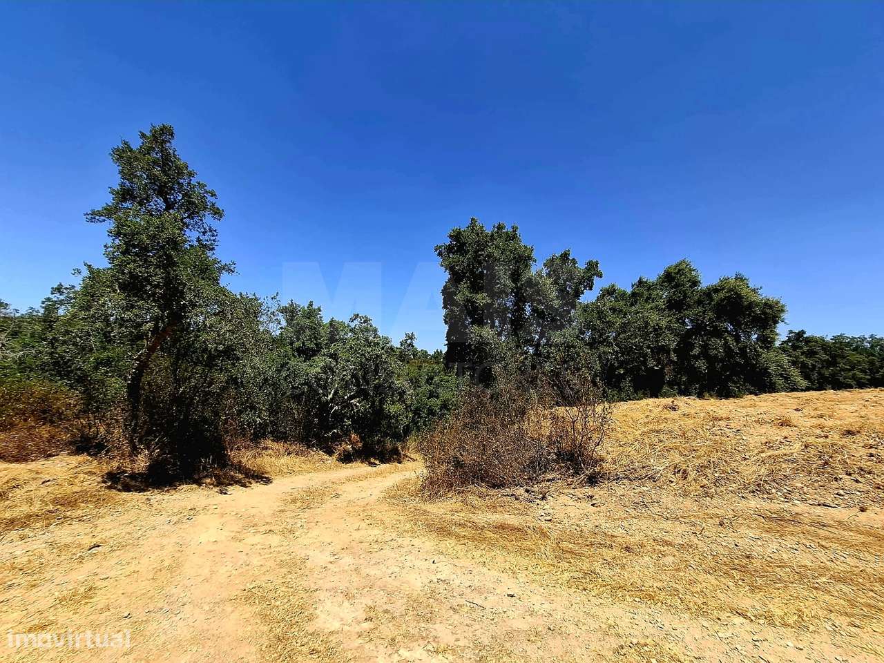 Herdade com 73,7 hectares em Relíquias, Odemira - Grande imagem: 5/50