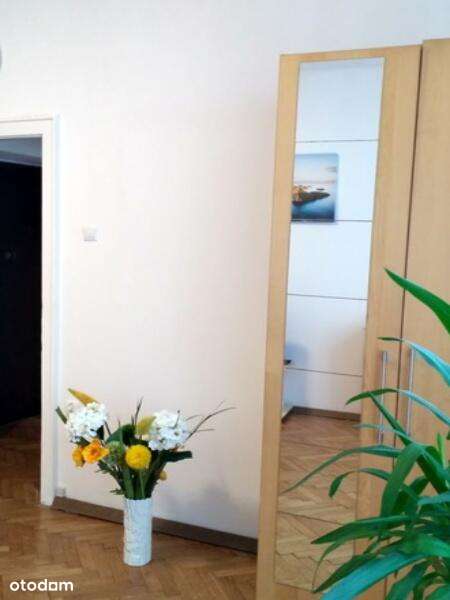 Krowodrza ul. Cieszyńska⭐39.35 m² + balkon Centrum - Nowy Kleparz - Ansicht 5