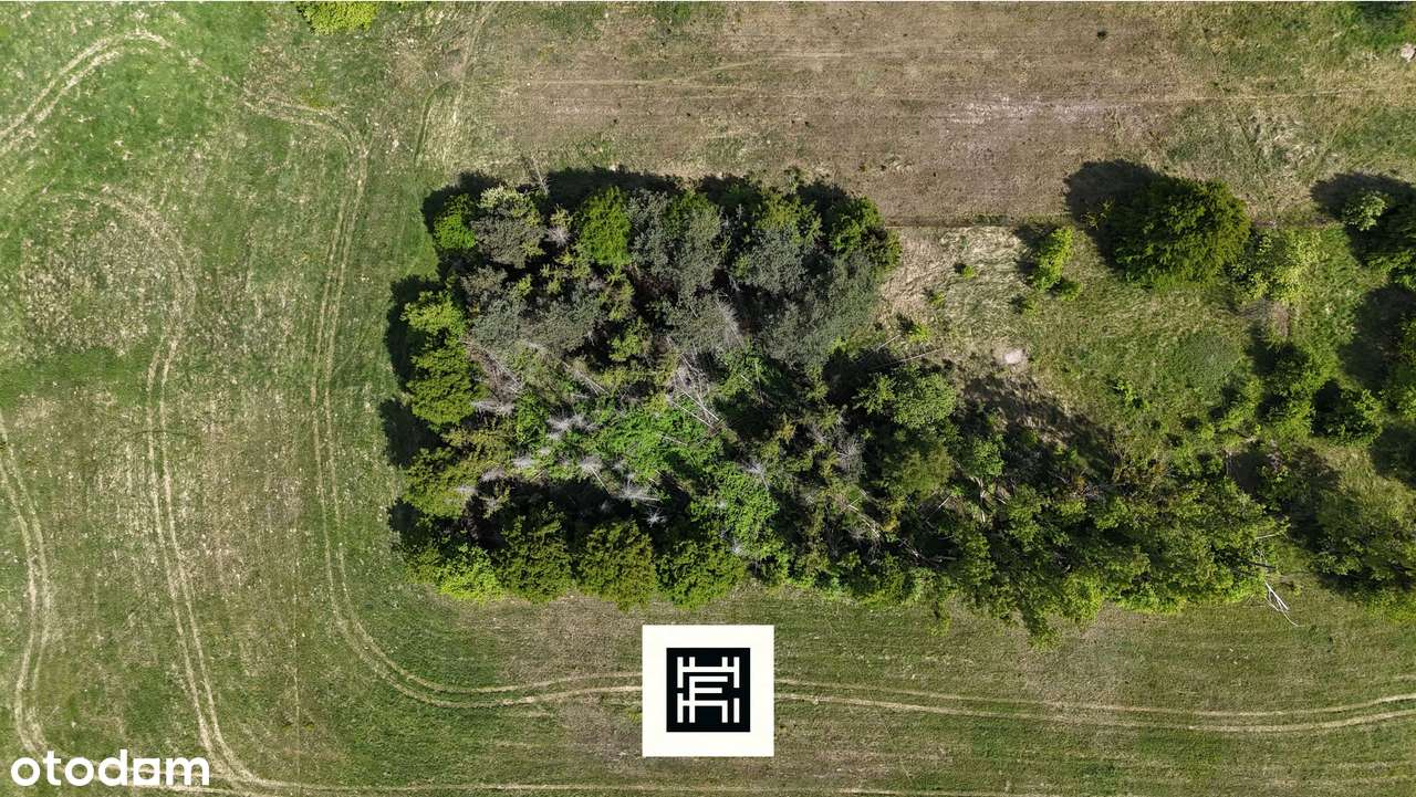 Industrialna stodoła, wielki teren i las–czy to będzie Twoje miejsce?-18