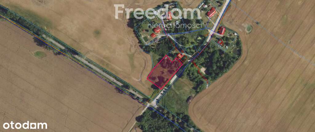 Przestronna działka 3 735 m² na Warmii i Mazurach - Pełny obrazek: 4/12