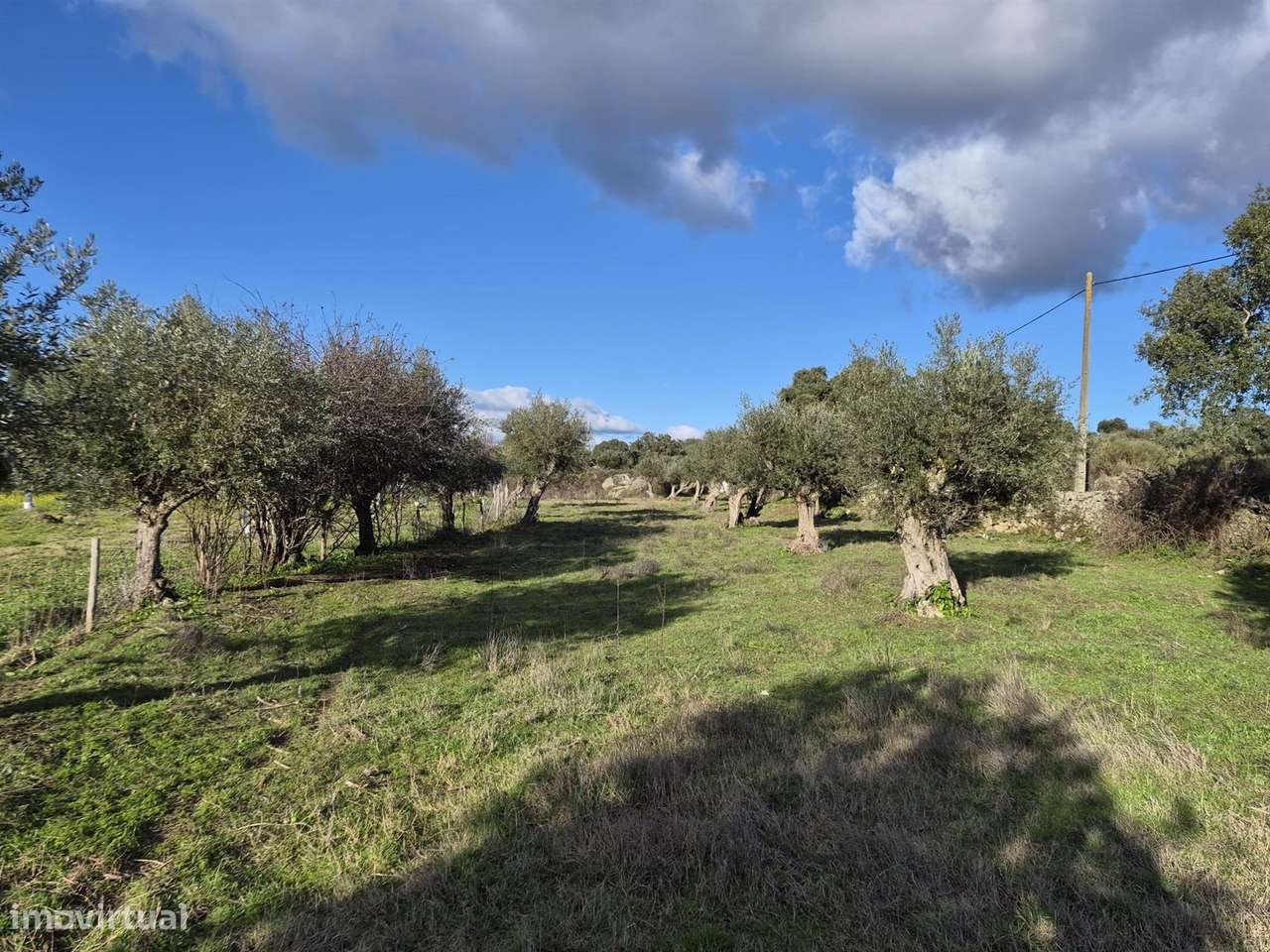 Quintinha - Grande imagem: 5/7