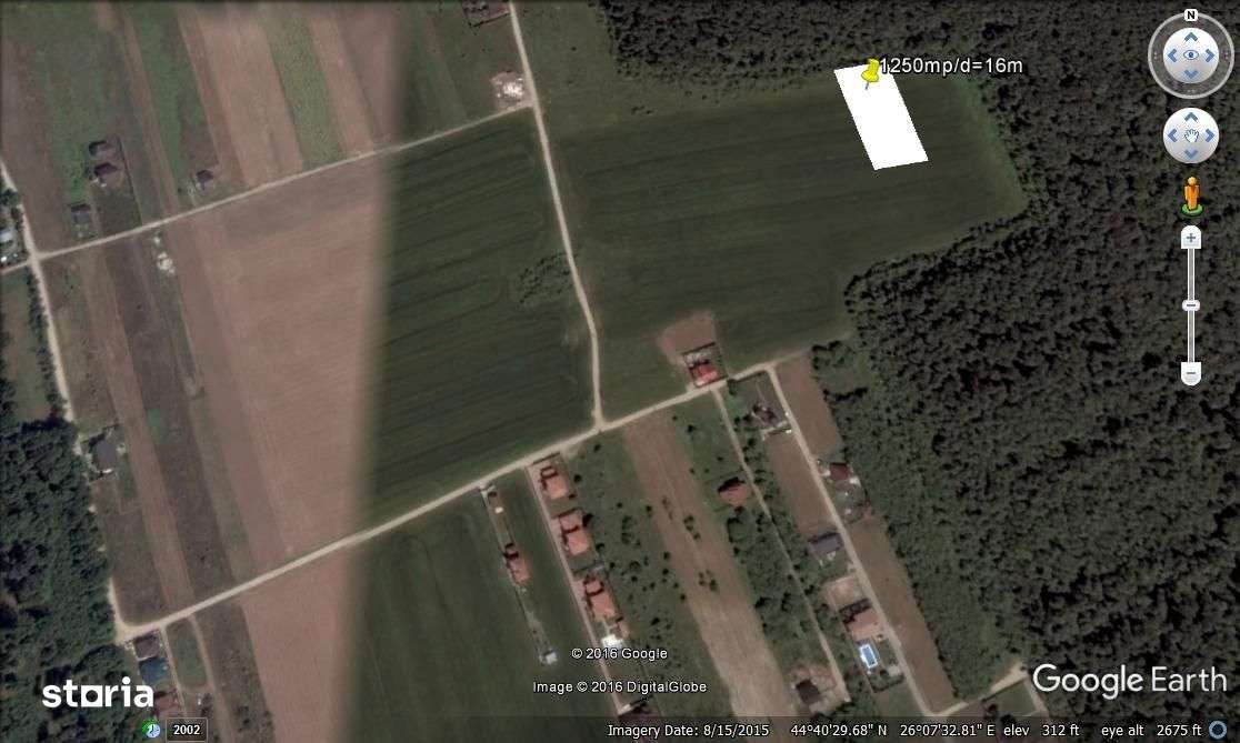 Teren intravilan inconjurat de padure - Ciofliceni, Snagov - Imagine principală: 4/12