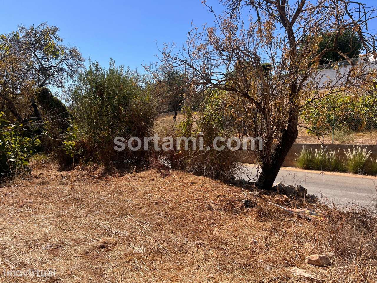 Terreno Rústico  Venda em Boliqueime,Loulé - Grande imagem: 4/5