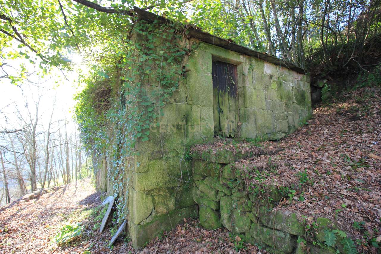 Quinta para restauro com vistas Rio Tâmega - Grande imagem: 5/28