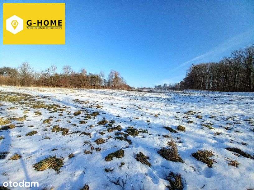 Dwie działki budowlane na dziewiczych terenach w s-8