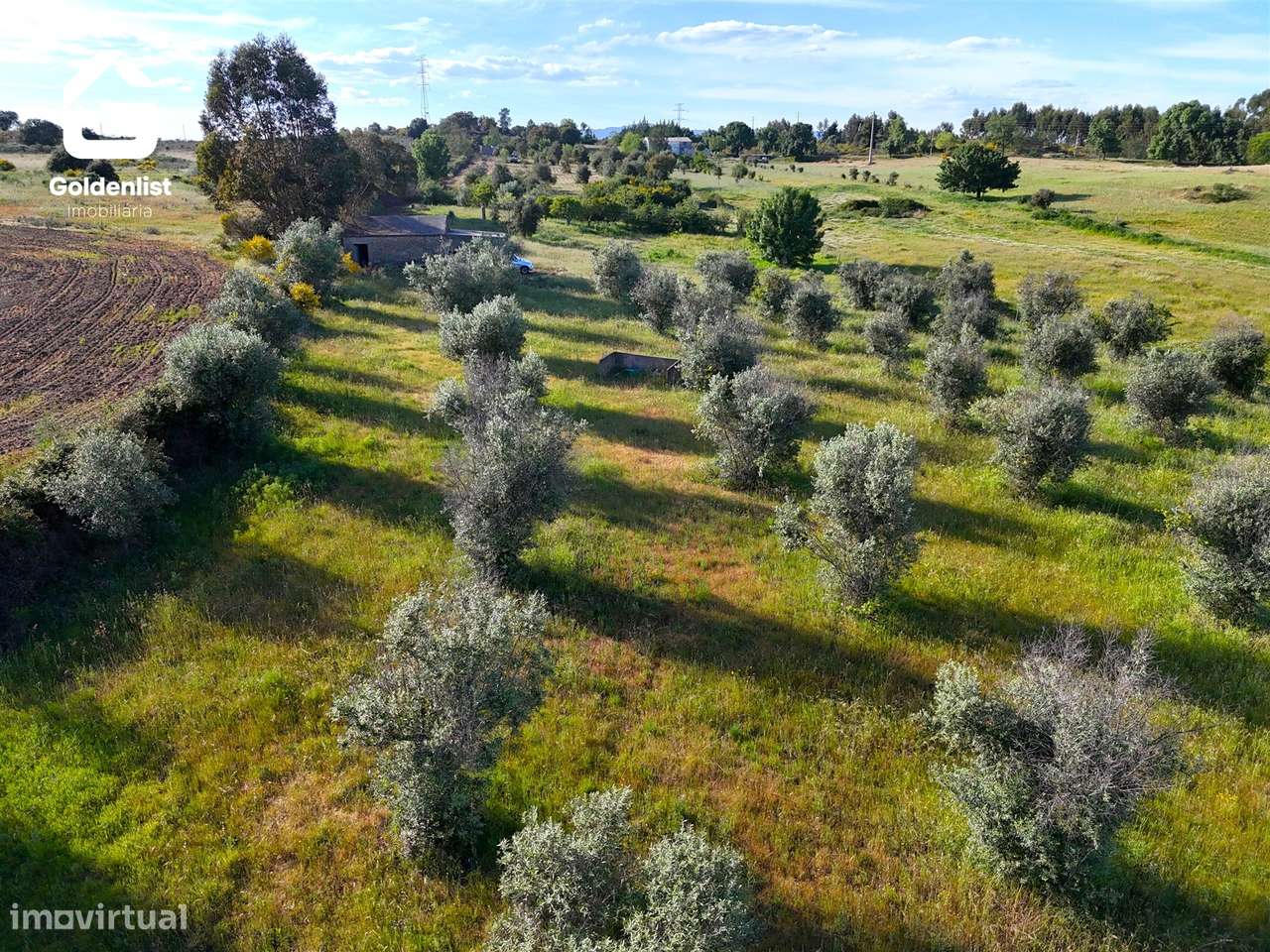 Quintinha  Venda em Escalos de Cima e Lousa,Castelo Branco-21