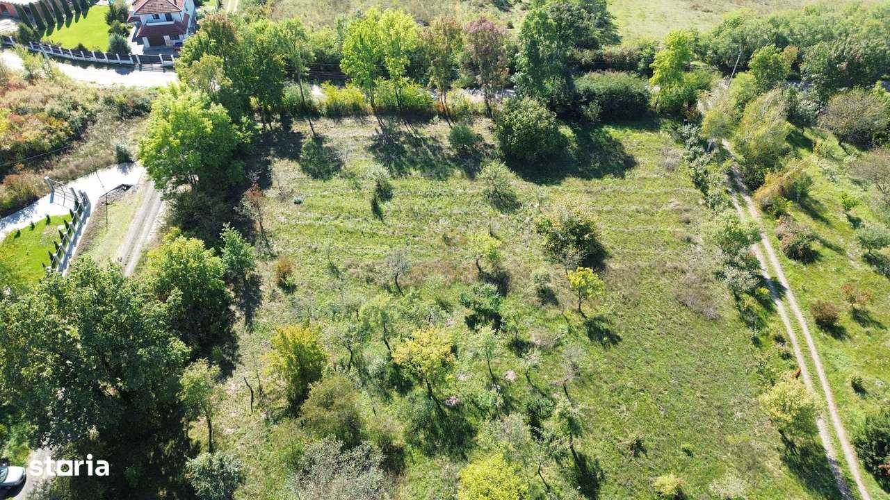 De vanzare Teren Intravilan Viile Satu Mare 2812MP/Dublu Front Stradal-2