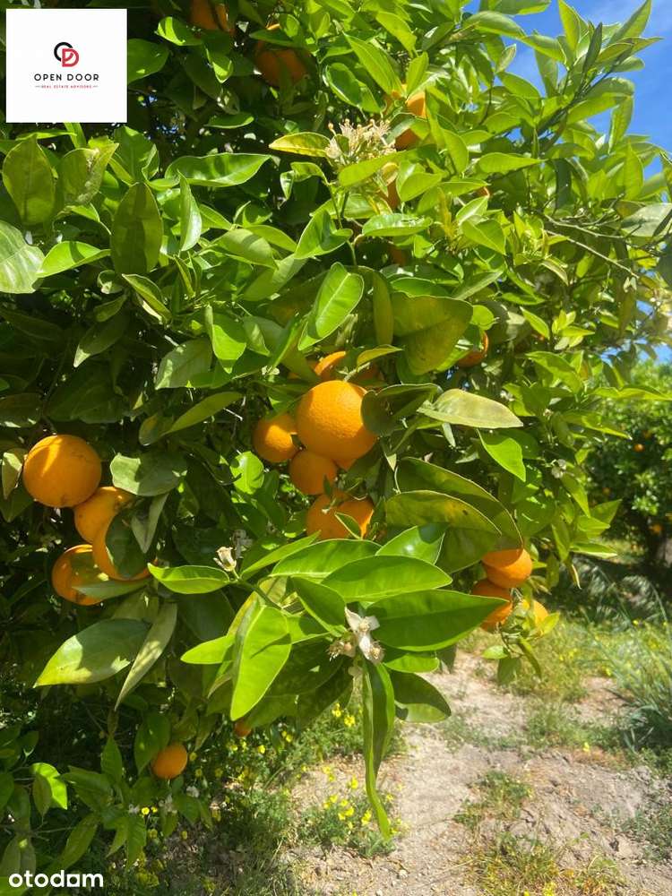 Wyjątkowy, dwupoziomowy penthouse z niesamowitym w-10