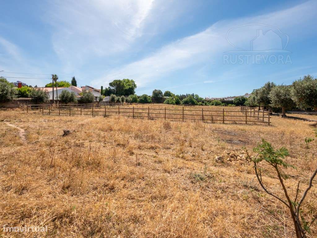 Quinta de São Miguel | Um Projeto Único junto ao Castelo de Estremo...-51