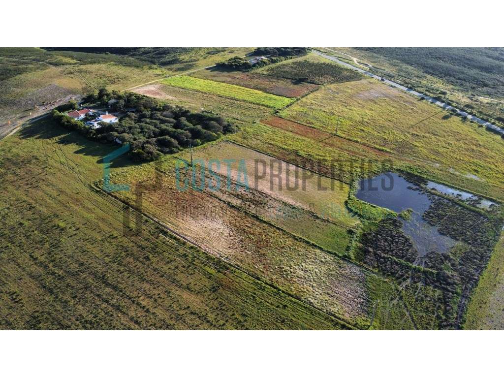 Terreno Rústico para Cultura Arvense - Vila do Bispo - Grande imagem: 4/19