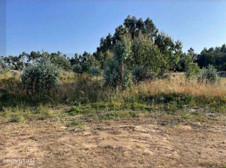 Terreno Rústico com Potencial Urbano na Figueira da Foz - Grande imagem: 5/10