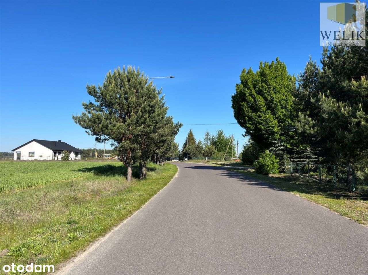 Działka Inwestycyjna w Ossówce - Pełny obrazek: 5/7