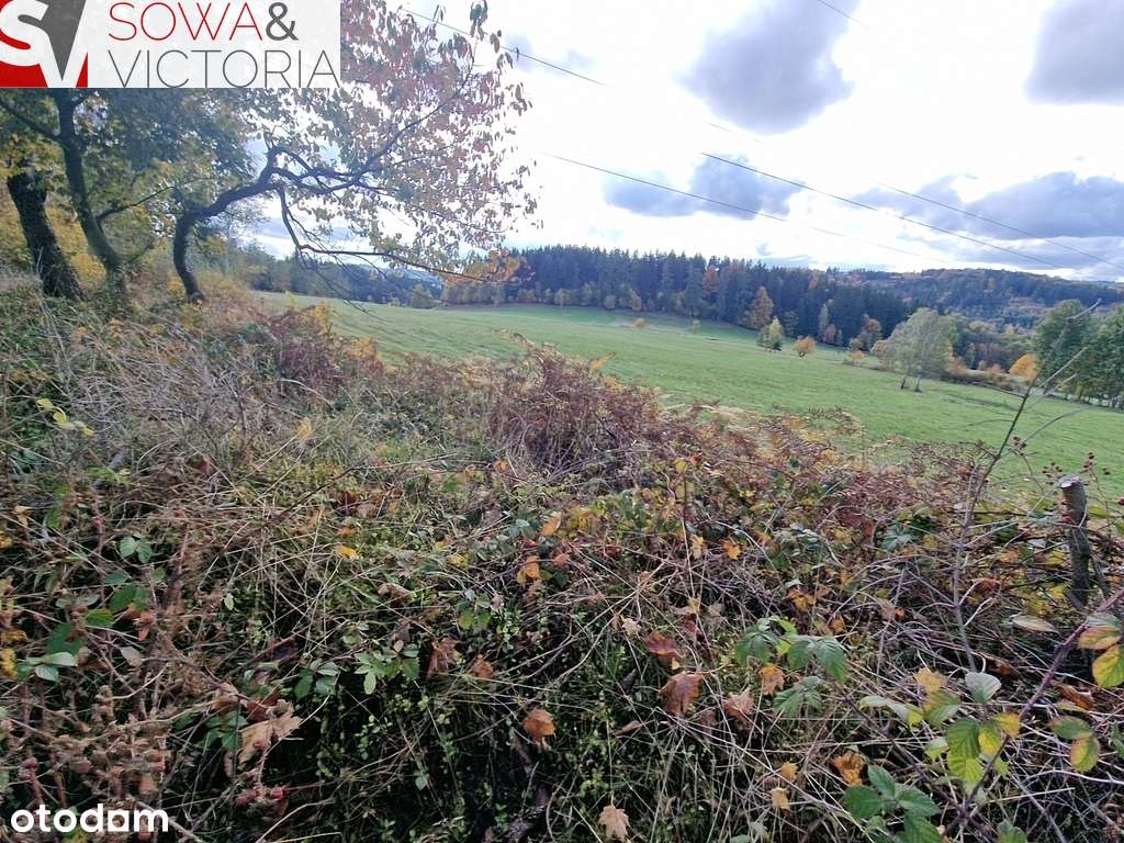 Z widokiem na góry, z możliwością WZ - Pełny obrazek: 4/12