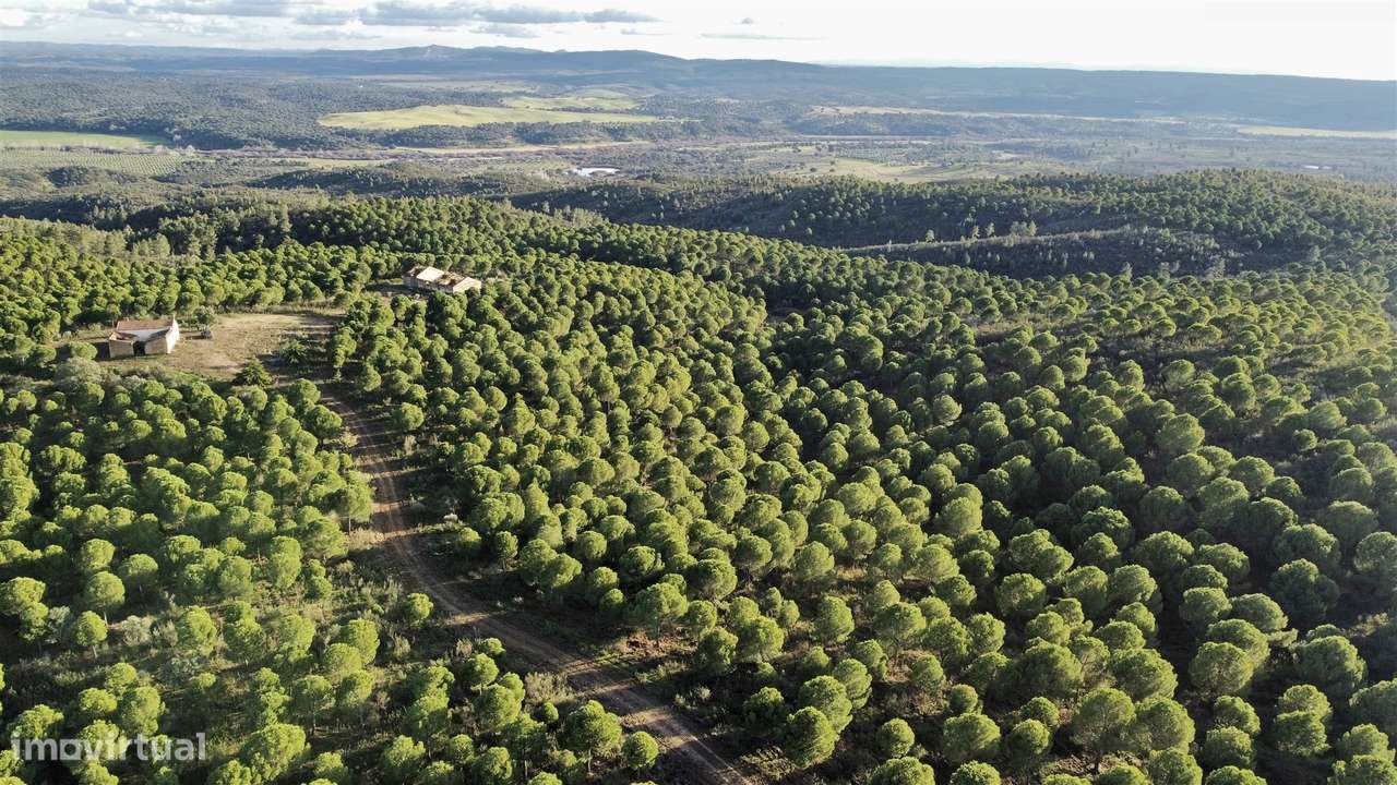 Herdade T5 Venda em Escalos de Baixo e Mata,Castelo Branco-8