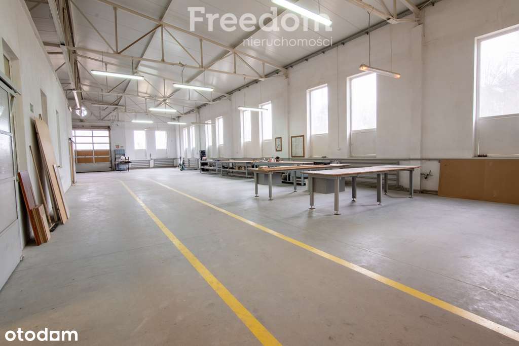 Hala produkcyjna z magazynem, biurami oraz działką - Pełny obrazek: 5/20