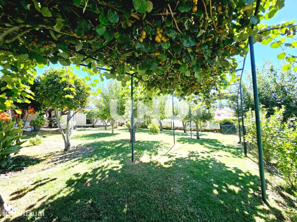 Moradia Isolada T4 - Fantástica Exposição Solar-37