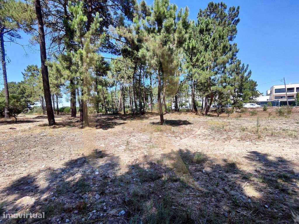 Venda conjunta de 105 lotes de terreno na Urbanização Pinhal de Neg...-18