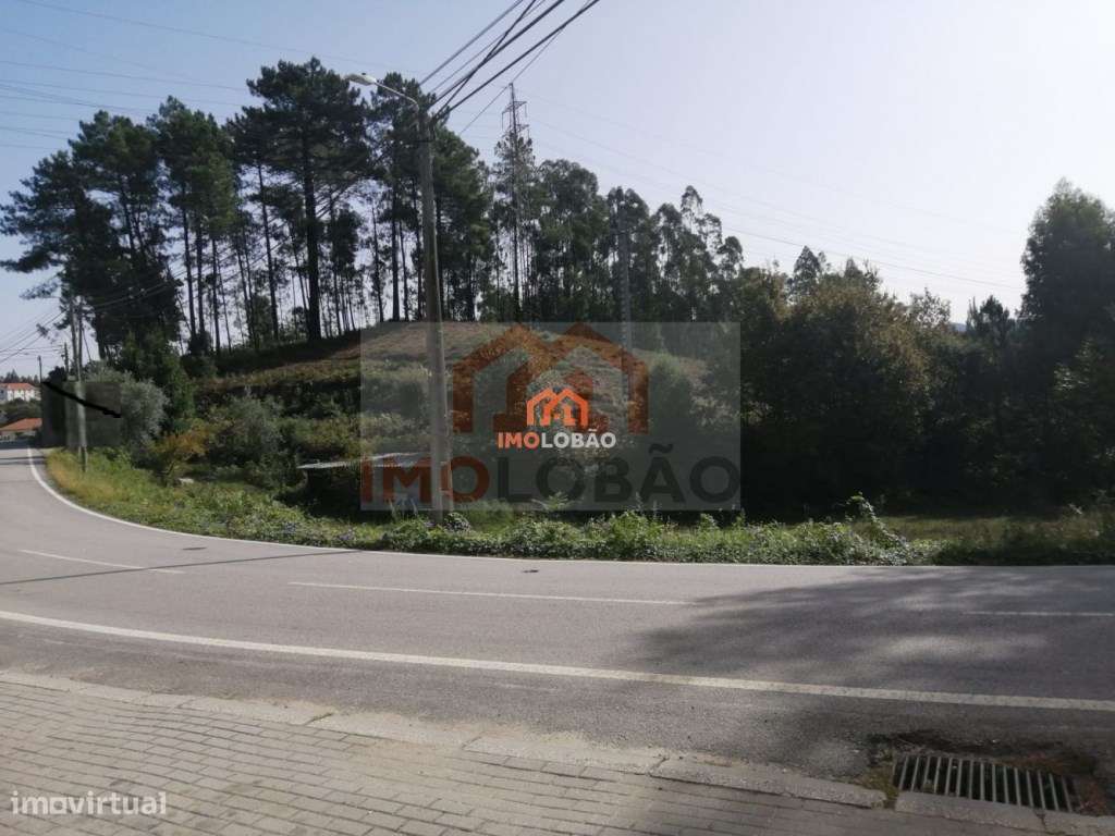 TERRENO - CANEDO (MOSTEIRÔ) - Grande imagem: 2/4