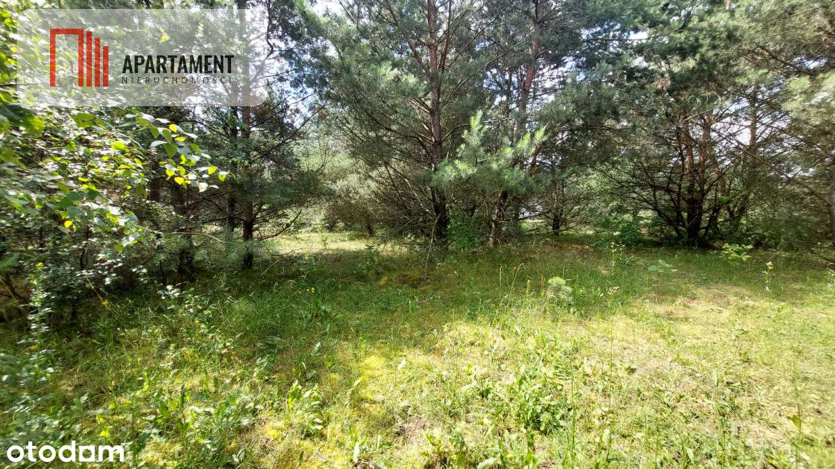 Piękne działki - Skórka - Pełny obrazek: 5/10