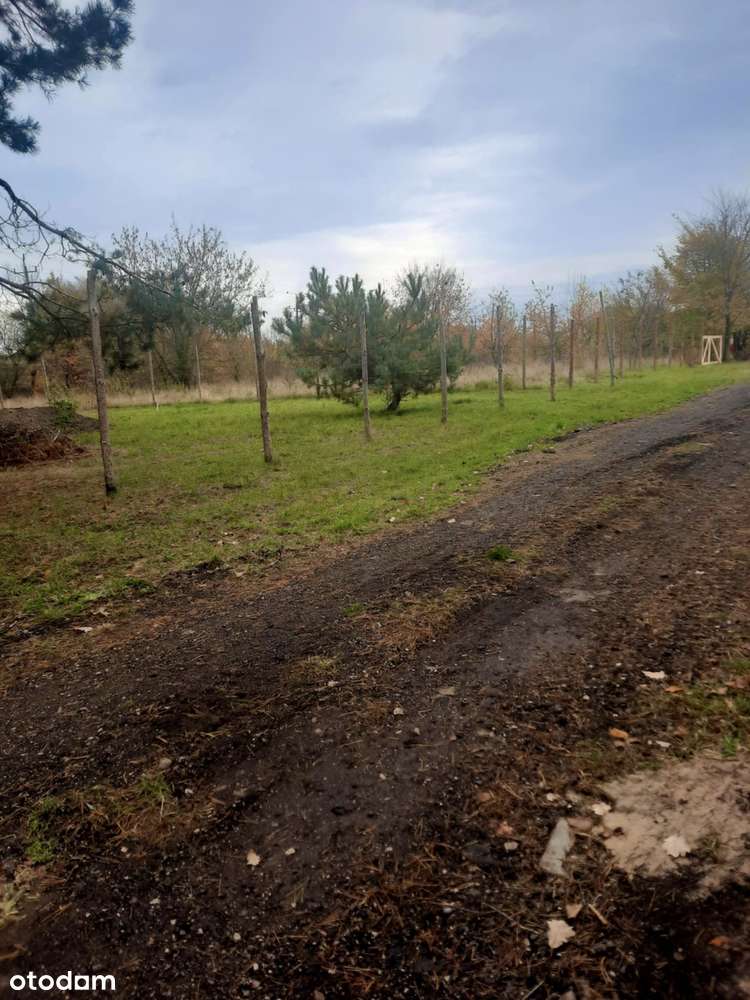 Działka budowlana Wierzbin 1545 m2 gm. Stare Babice-12