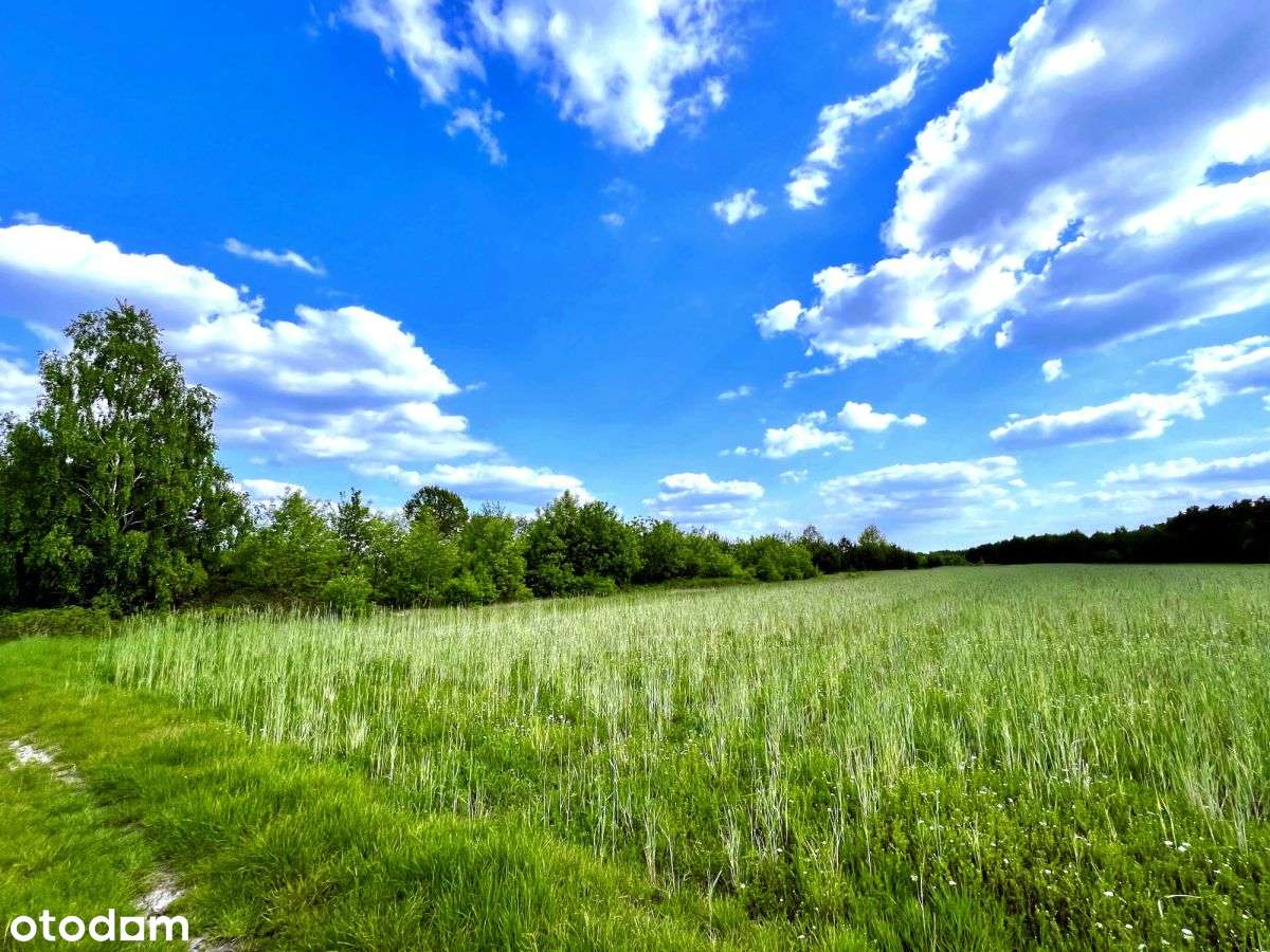 Sielsko i inwestycyjnie – 1,4 ha blisko Warszawy-12