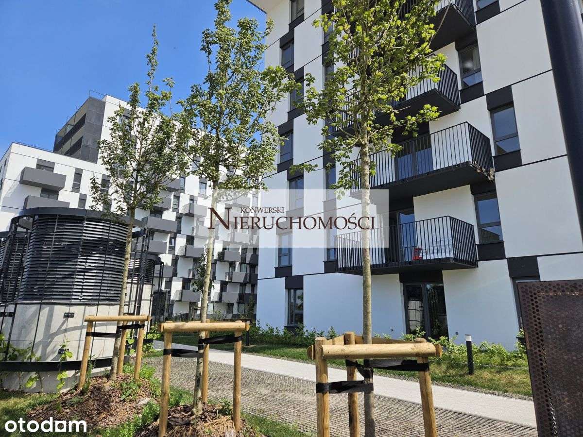 Promocja. Jeżyce. Blisko Tramwaj. Układ - Pełny obrazek: 5/6