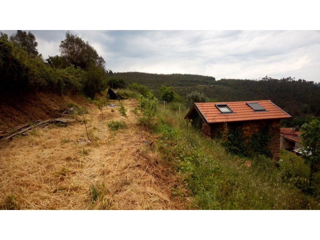 Terreno Urbano com vista deslumbrante em Mortágua - Viseu!