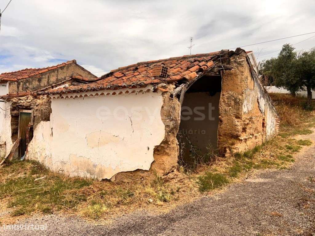 Moradia com Terreno junto à zona de ribeiro no concelho de Abrantes - Grande imagem: 1/14