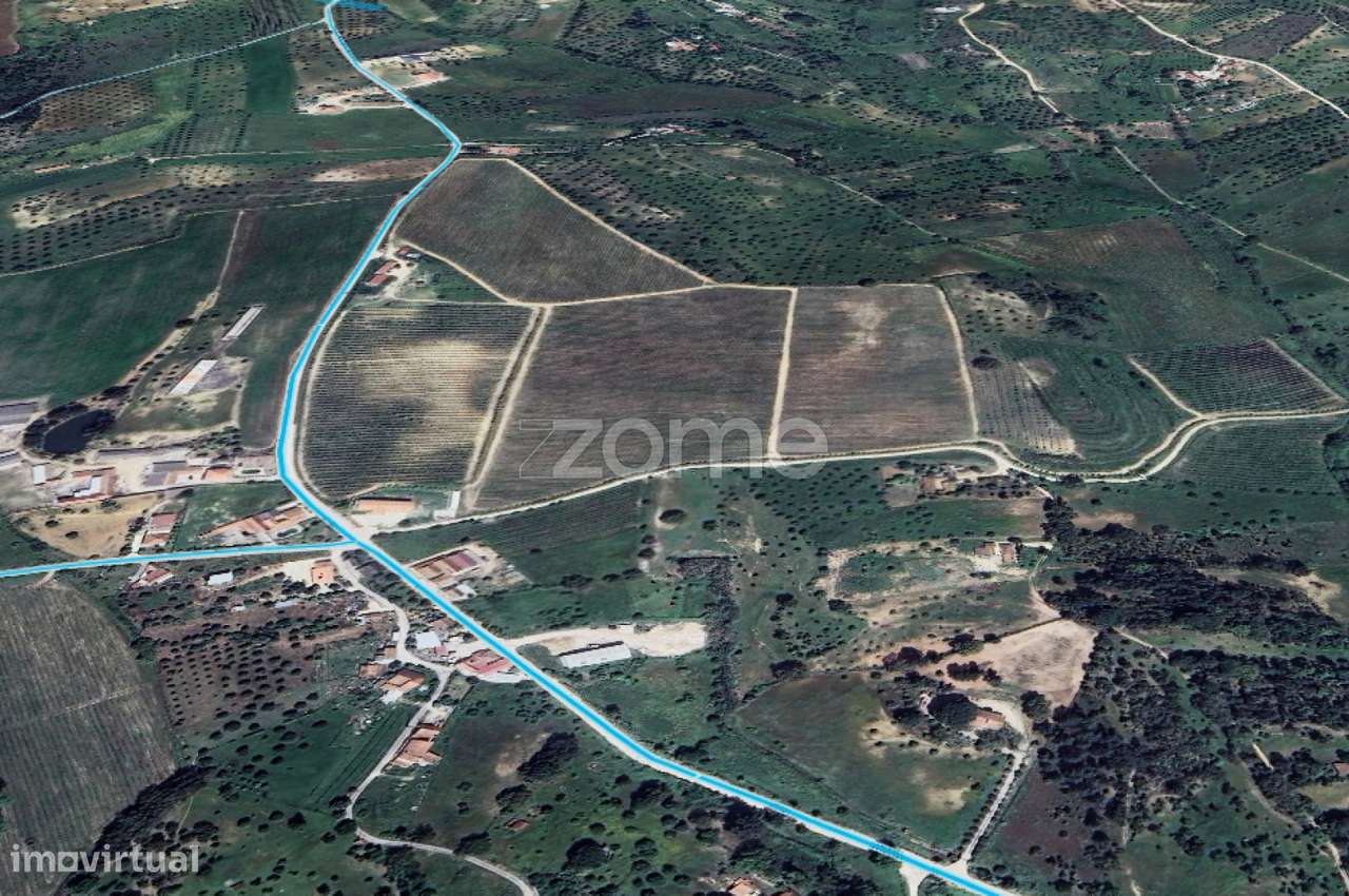 Quinta em Torres Novas-10