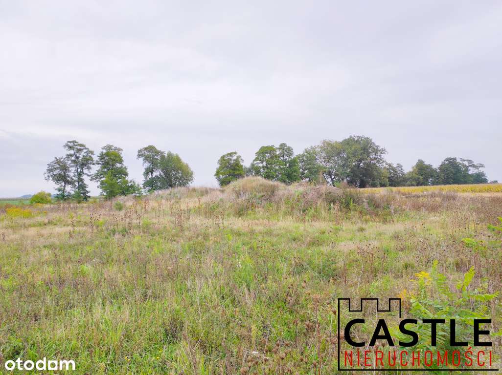 Pakiet działek inwestycyjnych - pod budowę hali z biurem! - Pełny obrazek: 4/17