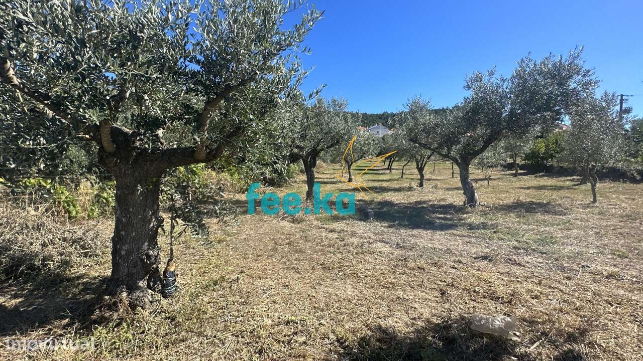 Quintinha em Monfortinho-10