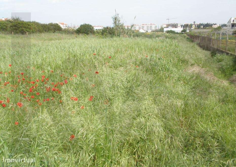 Terreno com 8160 m2 com viabilidade de construção, no centro de Alcoch - Grande imagem: 4/18