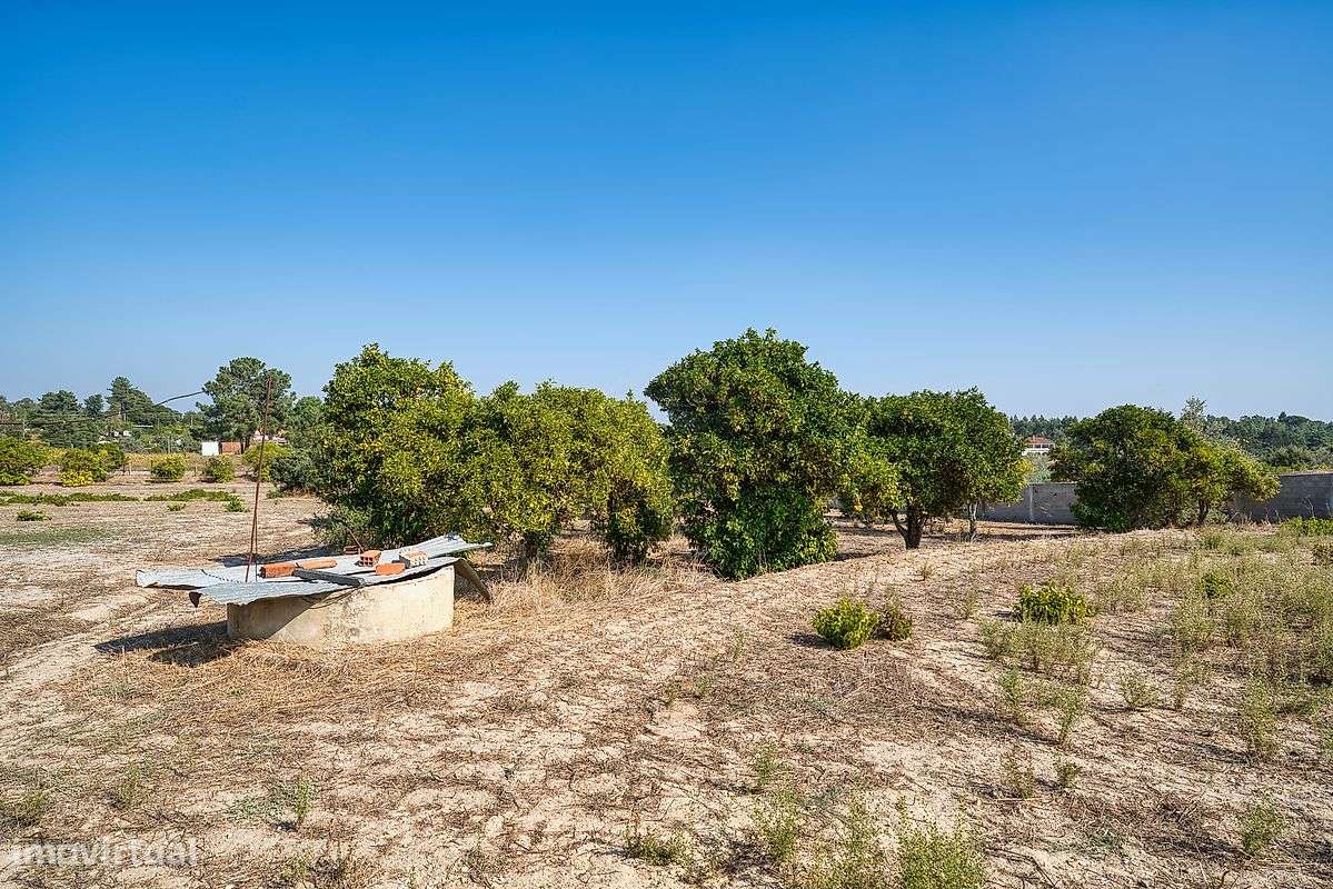 Quinta  para venda - Grande imagem: 4/39