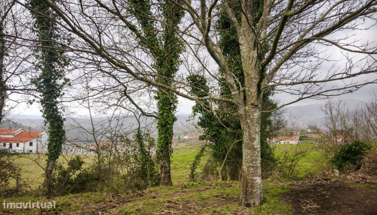 Venda de Terreno com projeto Aprovado, Infesta, Paredes de Coura - Grande imagem: 5/24