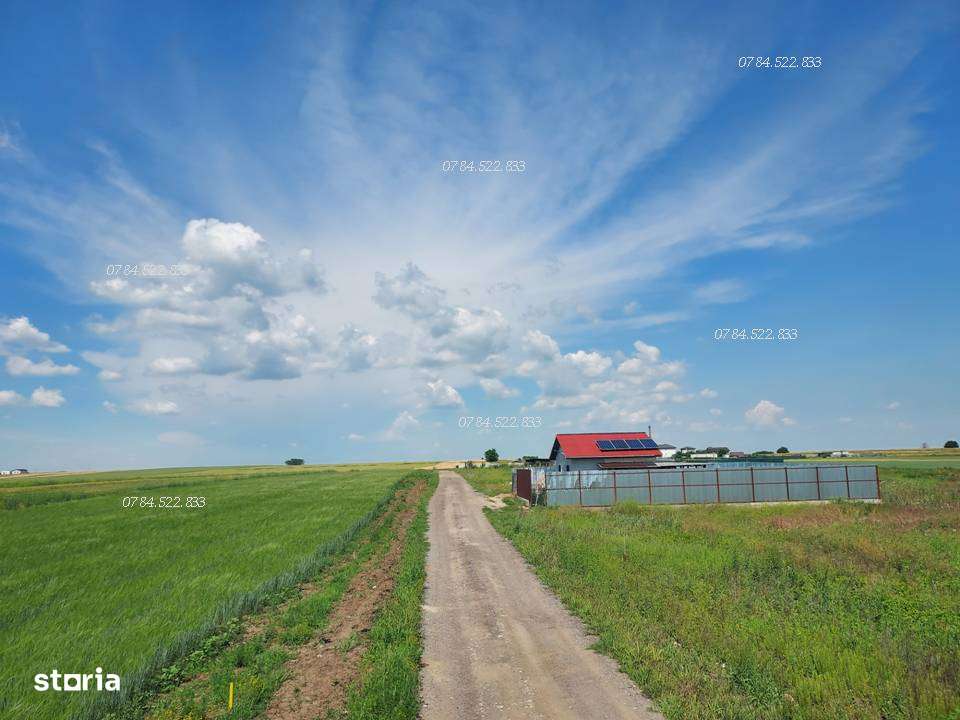 Teren lot de casă 317mp Berceni, Ilfov – acte la zi, utilități aproape - Imagine principală: 5/9