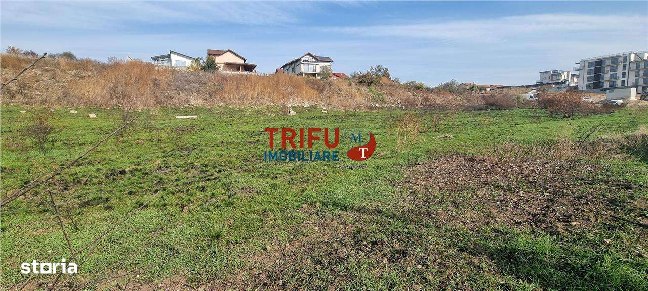 Teren intravilan 2900 mp pretabil P+3 zona Cetate - Imagine principală: 3/4