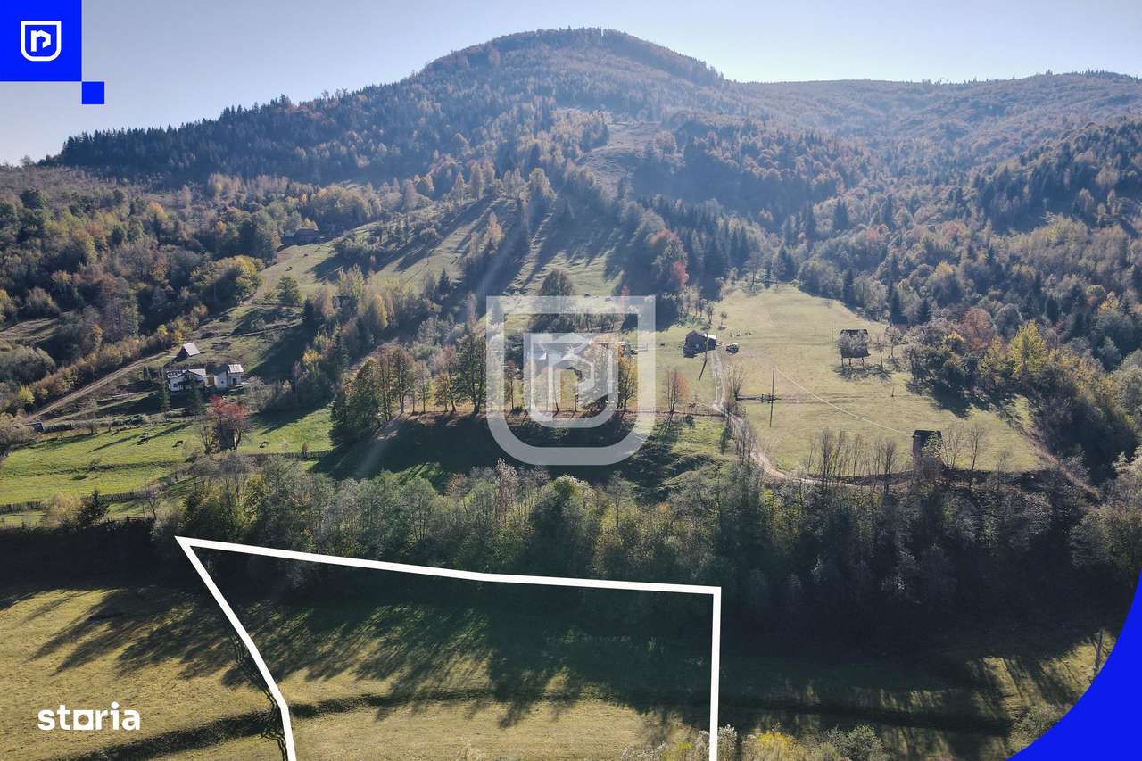 Teren situat in Vama  | BUCOVINA | 6€ mp - Imagine principală: 5/6