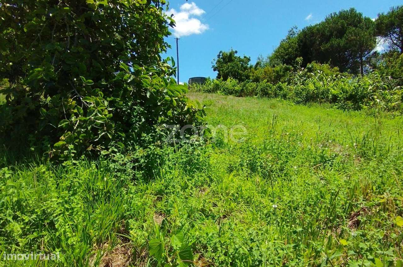 Terreno Almagreira-6