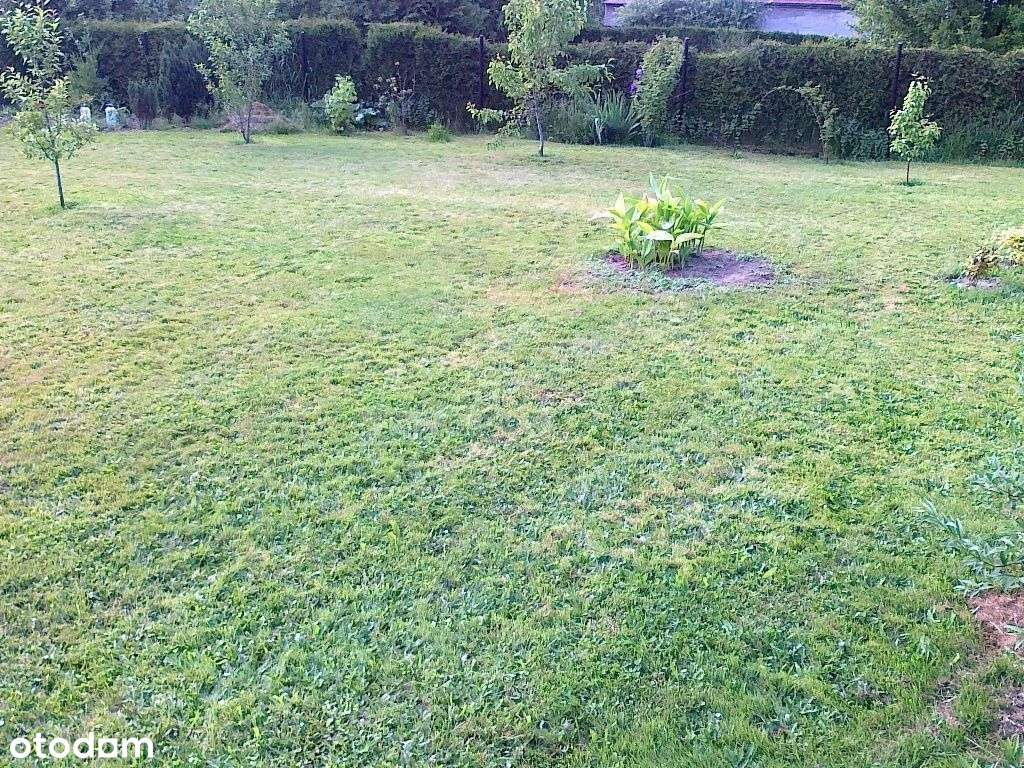 nieduża działka budowlana - Pełny obrazek: 5/5