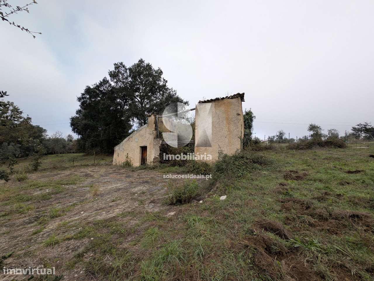Terreno em O.do Mondego c/Ruina - Grande imagem: 4/8