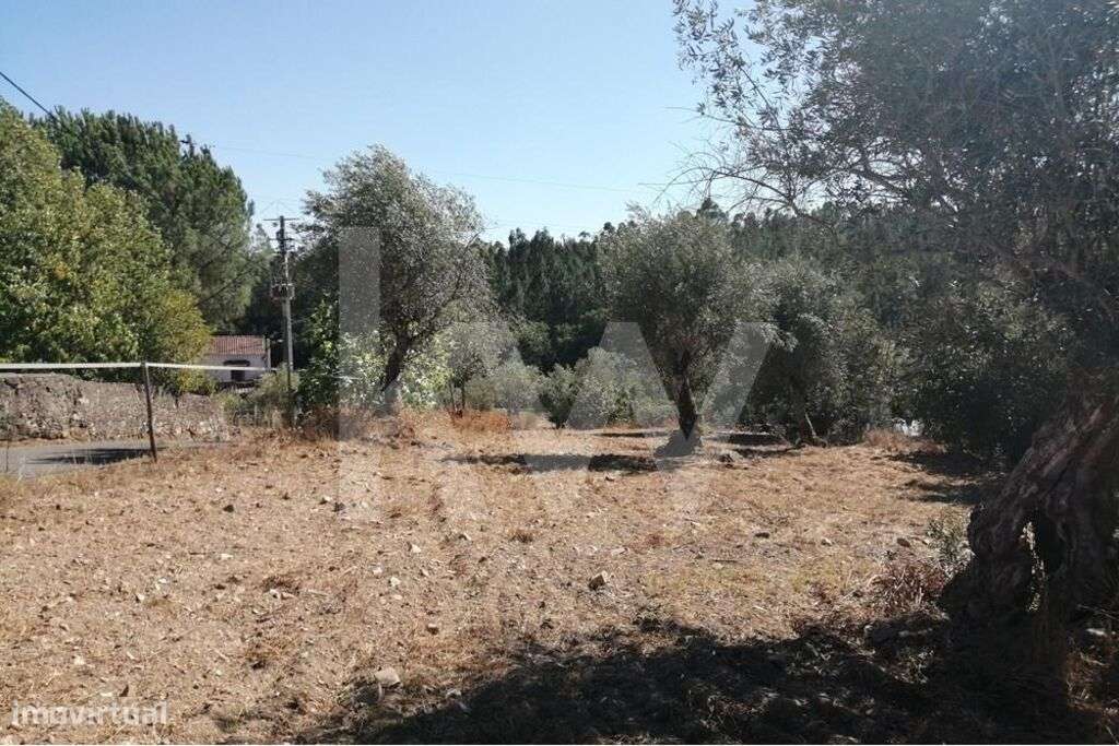 Terreno 2080 m2 Urbanizável - Entrevinhas, Sardoal - Grande imagem: 3/18