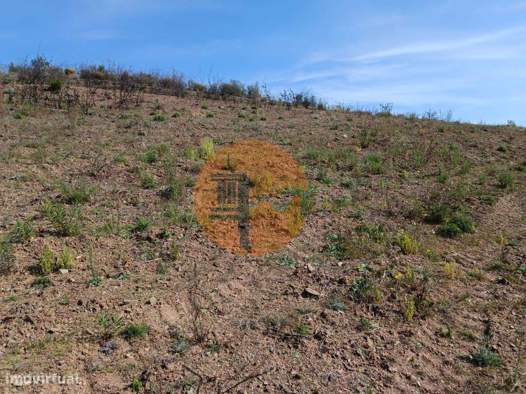 TERRENO RÚSTICO COM 3920 M2 - FONTE CHICÓ EM CASTRO MARIM - ALGARVE - Grande imagem: 5/30