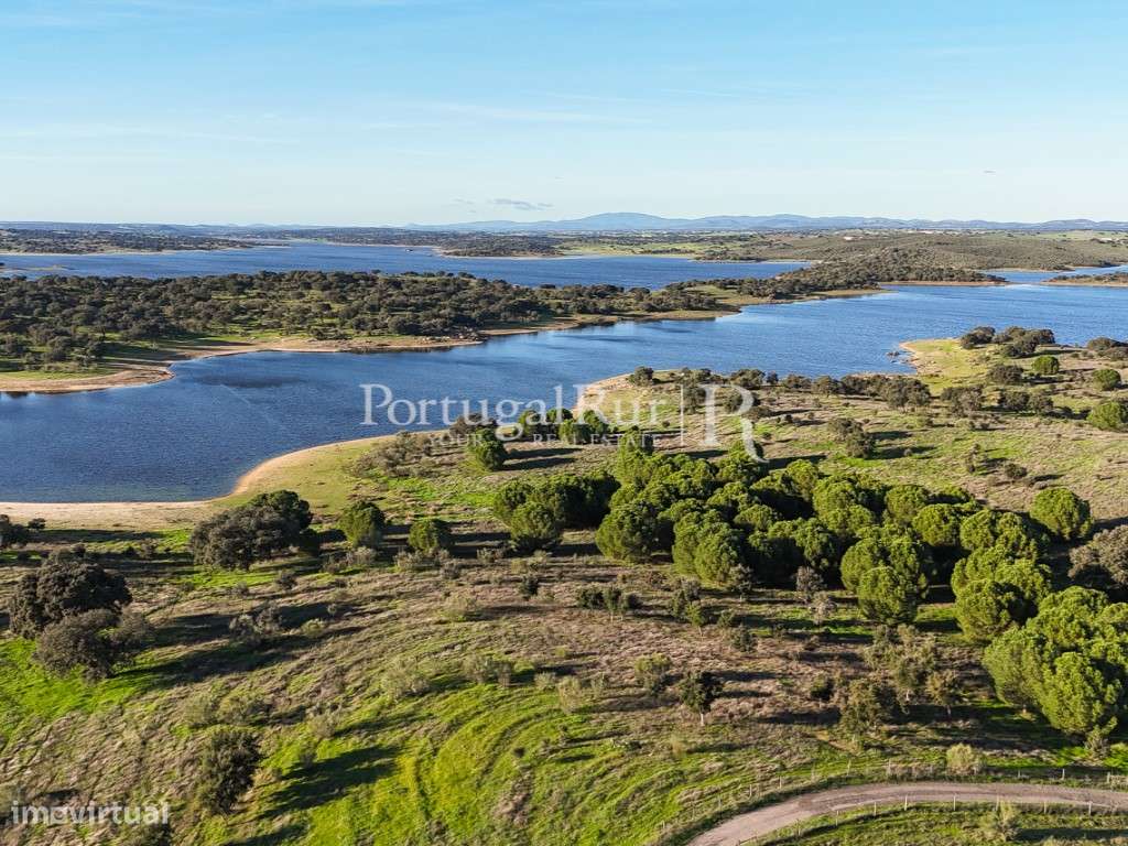 Herdade de 36,5ha na Barragem do Caia com Projeto Aprovado - Grande imagem: 4/60