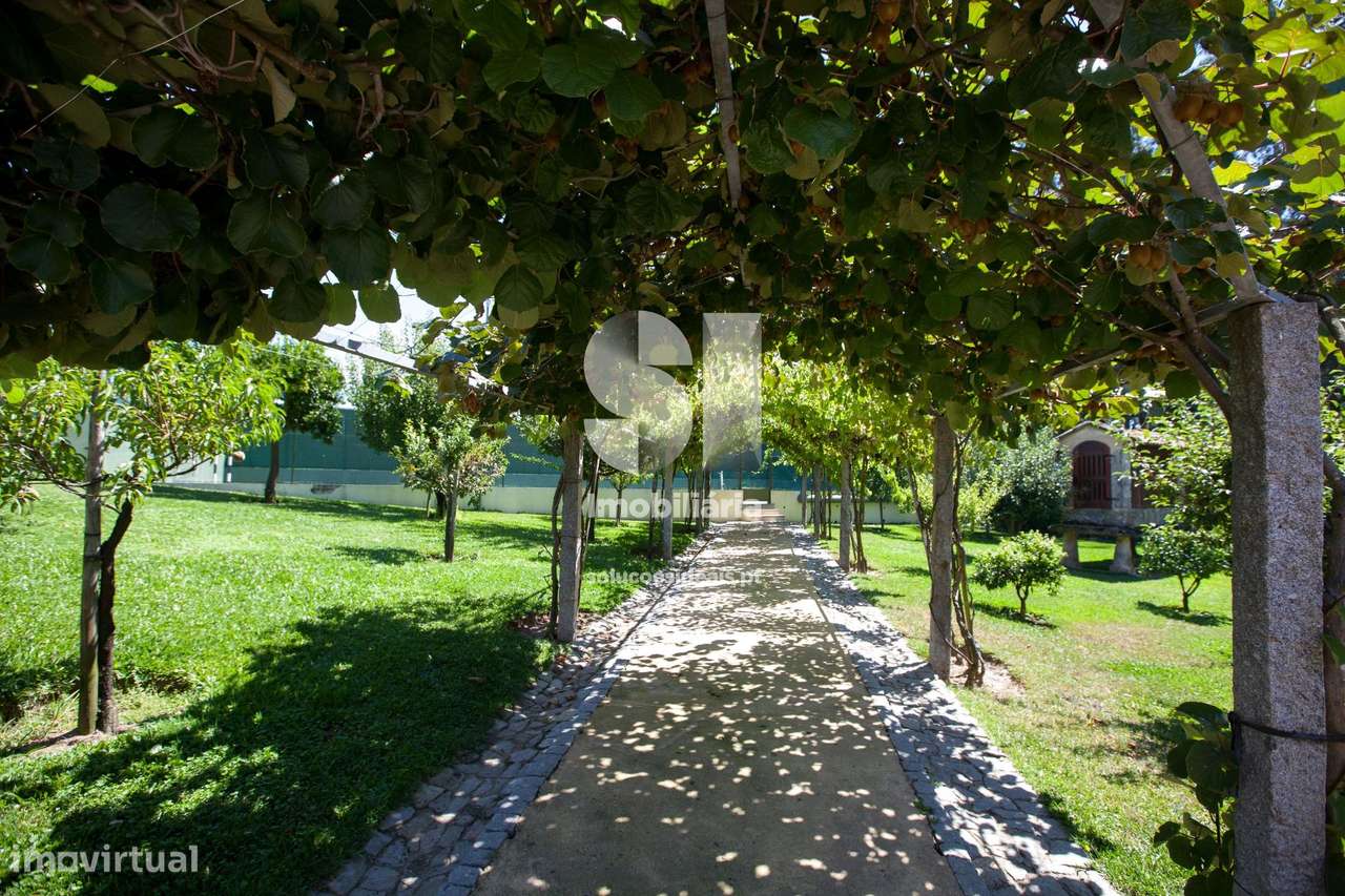 Luxuosa Quinta T5 - Grande imagem: 5/29