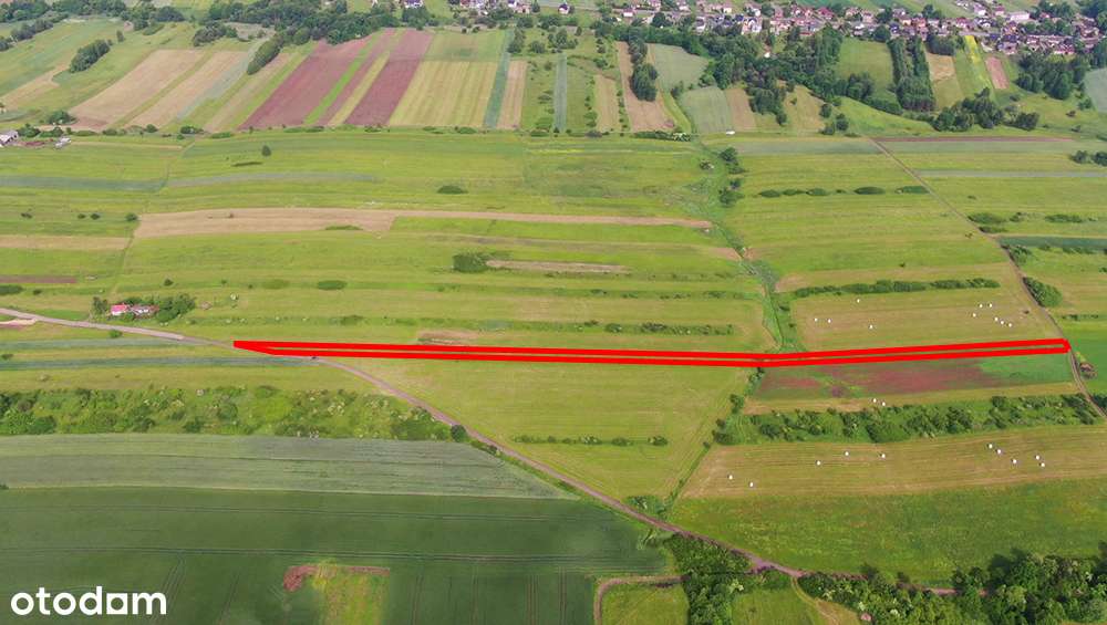 Działka rolna Poręba-Niwki-10